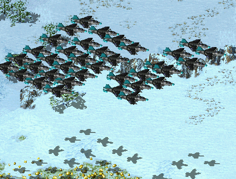 eagles.png